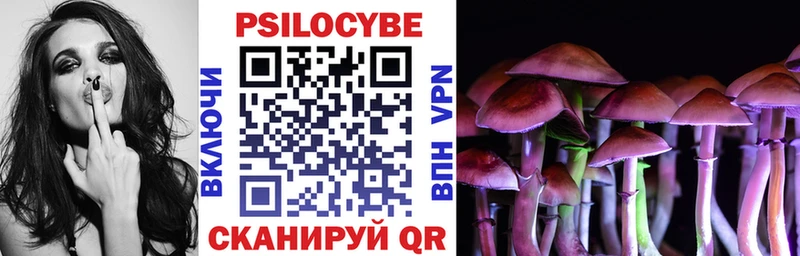 даркнет телеграм  Белебей  Галлюциногенные грибы Psilocybine cubensis 
